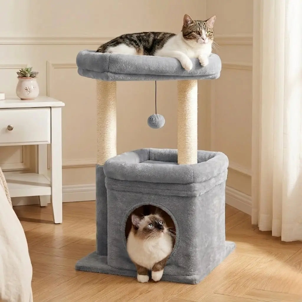 Arbre à Chat Compact 60cm — Vue générale | Féline Smart