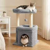Arbre à Chat Compact 60cm — Vue générale | Féline Smart