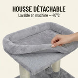 Arbre à Chat Compact — Condo douillet isolé | Féline Smart