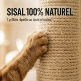 Arbre à Chat XXL — 7 griffoirs sisal naturel | Féline Smart
