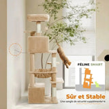 Arbre à Chat XXL — Idéal pour 2 à 5 chats | Féline Smart