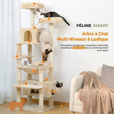 Arbre à Chat XXL — Idéal pour 2 à 5 chats | Féline Smart