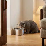 Fontaine Chat Inox 304 2,2L — Vue générale | Féline Smart