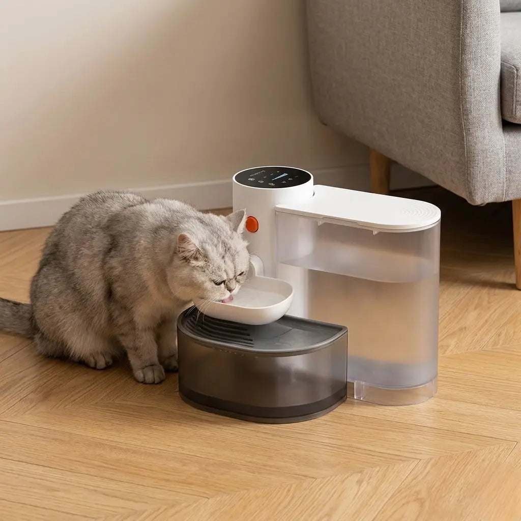 Fontaine à Eau Chat Sans Fil 3L — Design compact et élégant | Féline Smart
