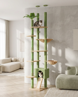 Deux chats jouant sur l'arbre à chat cactus sol-plafond, perchoir haut et condo vert