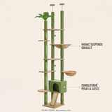 Hamac suspendu douillet et condo fermé de l'arbre à chat cactus sol-plafond