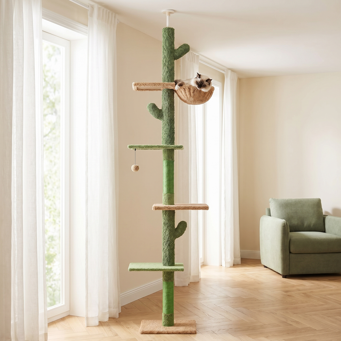 Chat couché dans le panier perché de l'arbre à chat cactus 5 niveaux sol-plafond, salon lumineux