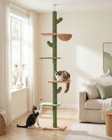 Deux chats jouant avec la balle pompon de l'arbre à chat cactus 5 niveaux sol-plafond