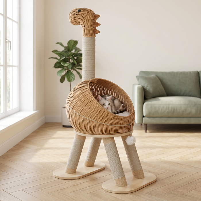 Chat blotti dans le nid en rotin de l'arbre à chat dinosaure, salon lumineux au parquet clair
