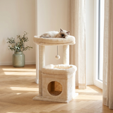 Chaton installé dans le perchoir de l'arbre à chat petit modèle beige, près d'une fenêtre lumineuse