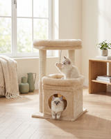 Deux chatons jouant sur l'arbre à chat petit modèle : condo rond et balle pompon