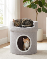 Maisonnette basse grise : chat sur le perchoir à rebord, chaton dans l'ouverture ronde