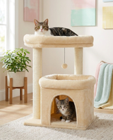 Deux chats sur l'arbre compact beige : chaton dans le condo, adulte sur le perchoir