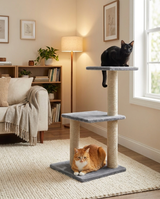 Deux chats sur le modèle 3 niveaux escalier gris dans un salon