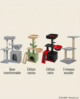 Modèles au choix : base transformable, édition cactus, édition noire, 3 niveaux escalier
