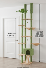 Arbre à chat XL sol-plafond vert comparé à une porte intérieure, hauteur réglable 237 à 256 cm