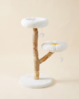 Arbre à chat marguerite en bois massif blanc nuage — packshot fond crème