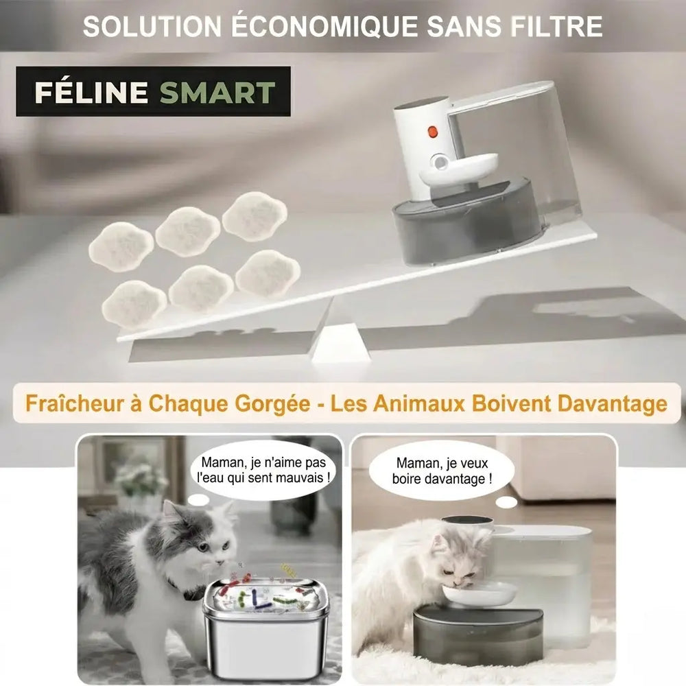 Fontaine à eau sans fil 3L pour chat | Féline Smart