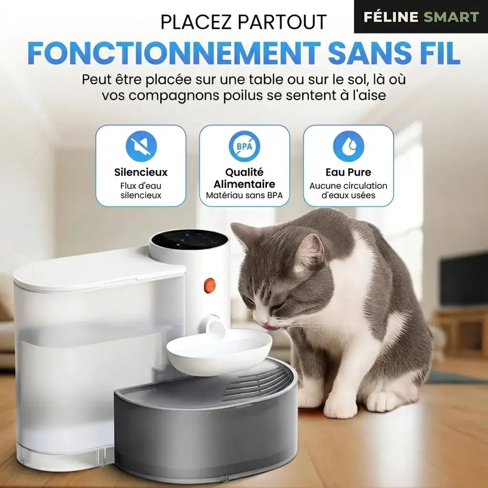 Fontaine à eau sans fil 3L pour chat | Féline Smart